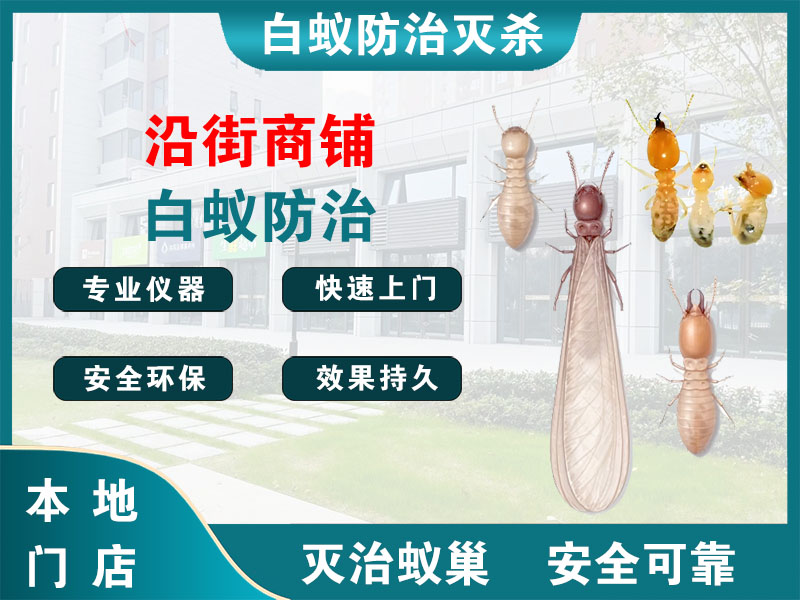宿豫沿街商铺白蚁防治