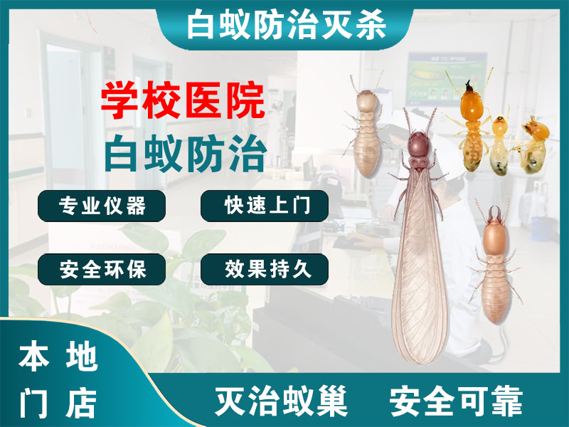 宿豫学校医院白蚁防治