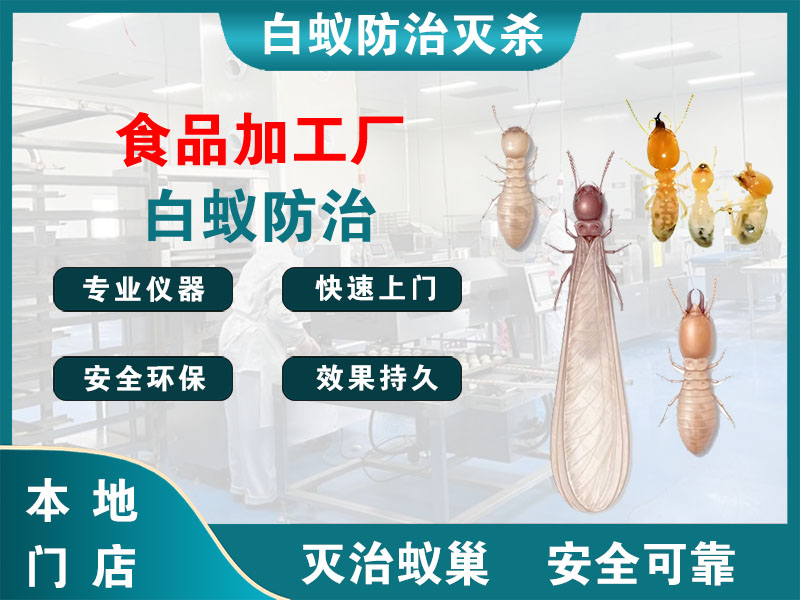 宿豫食品加工厂白蚁防治