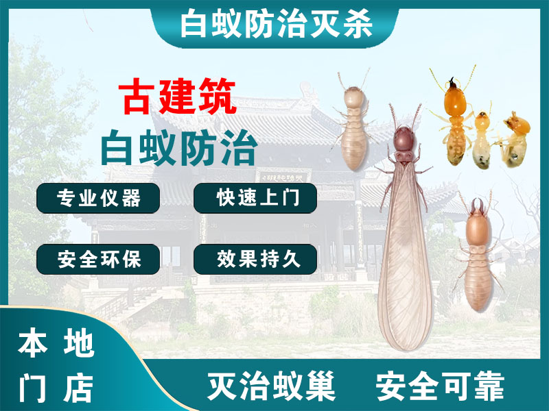 宿豫古建筑白蚁防治