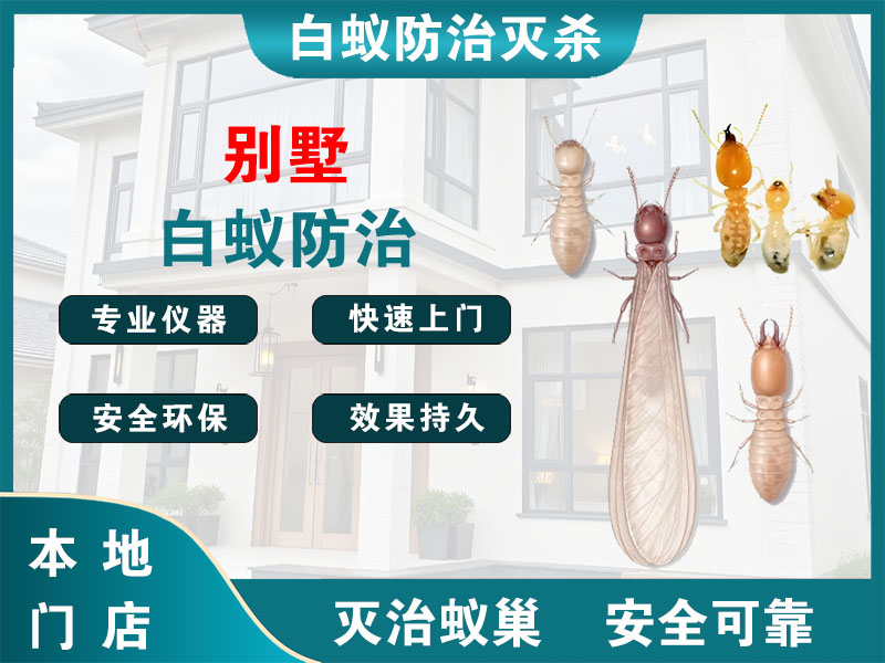 宿豫别墅白蚁防治